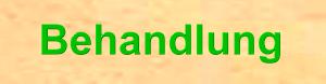 LPG Behandlungsinformation